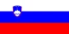 Flag_of_Slovenia.svg
